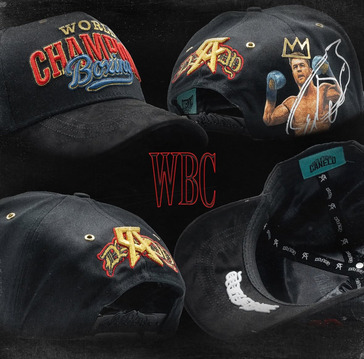 DANDY X CANELO WBC